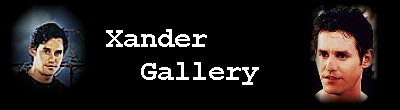 Xander Gallery